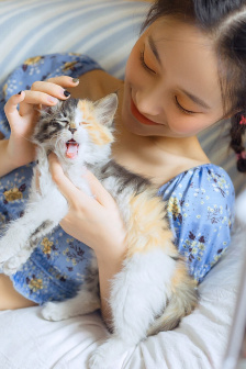 女奥特曼:苍月女战士